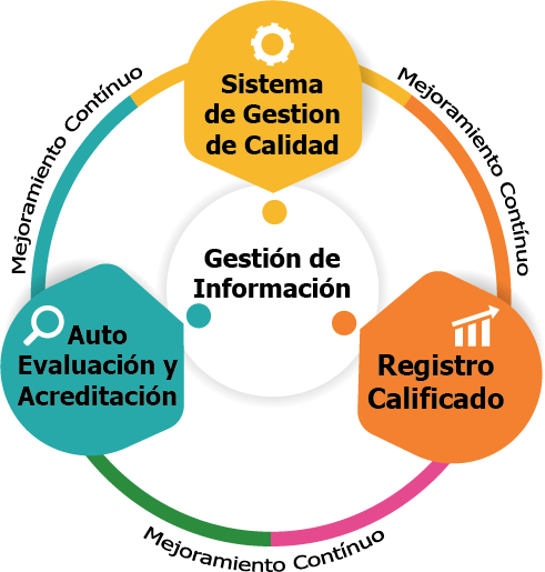 Sistema Interno De Aseguramiento De La Calidad Fundación Universitaria Católica Del Sur 8839